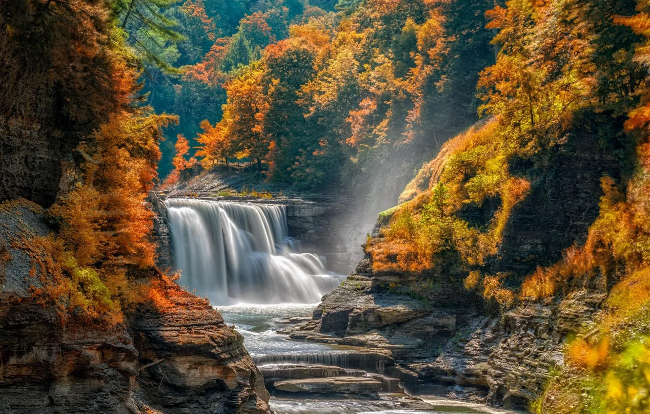 Photo wallpaper autumn, forest, trees, stones, rocks, waterfall, stream, cascade
