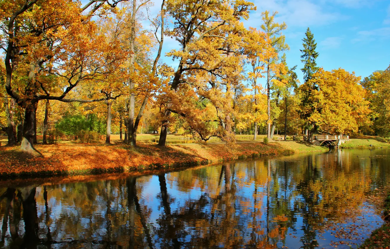 Photo wallpaper autumn, leaves, water, the sun, trees, bridge, pond, Park