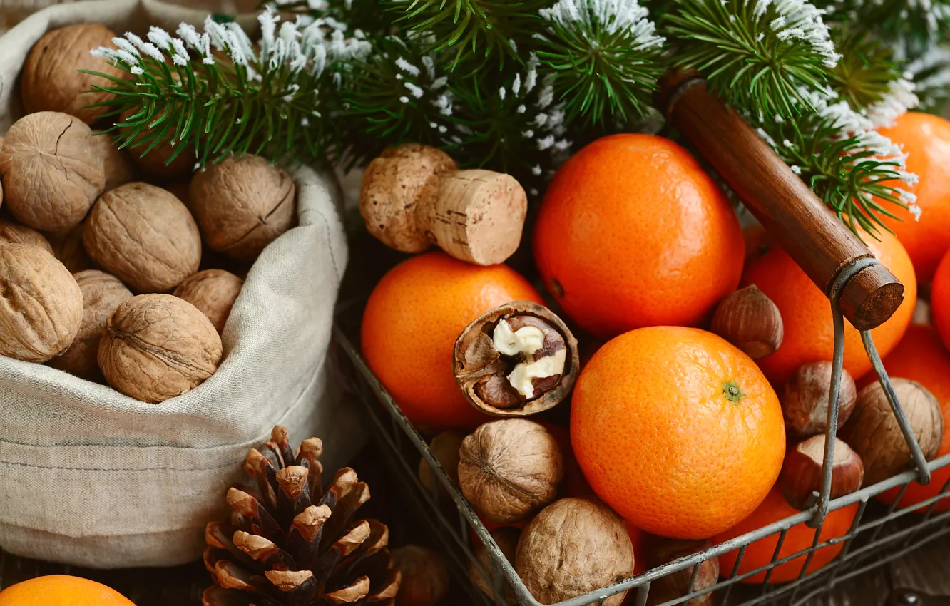 Photo wallpaper Branches, New year, Holiday, Food, Bumps, Nuts, Tangerines