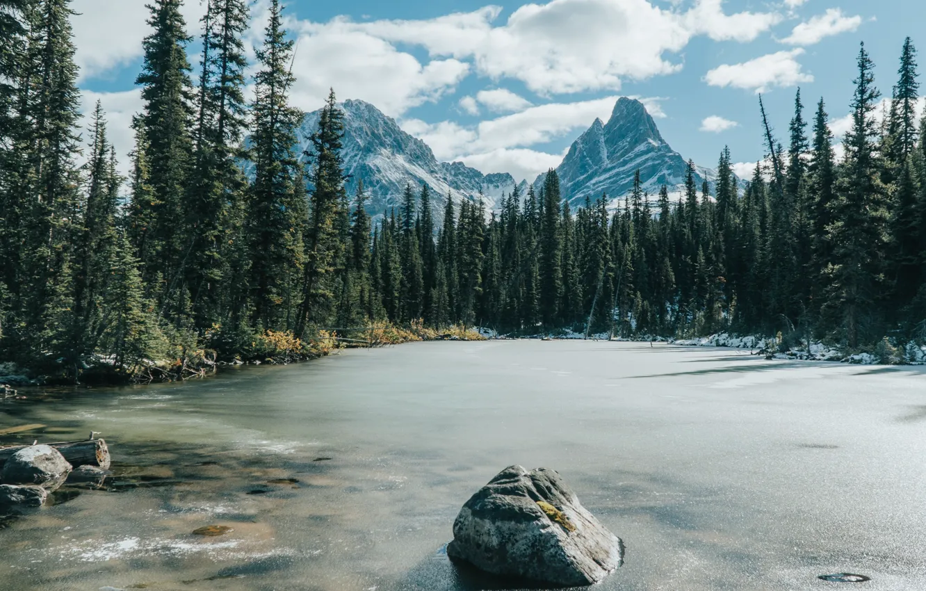 Photo wallpaper forest, trees, mountains, stones, tops, Frozen lake