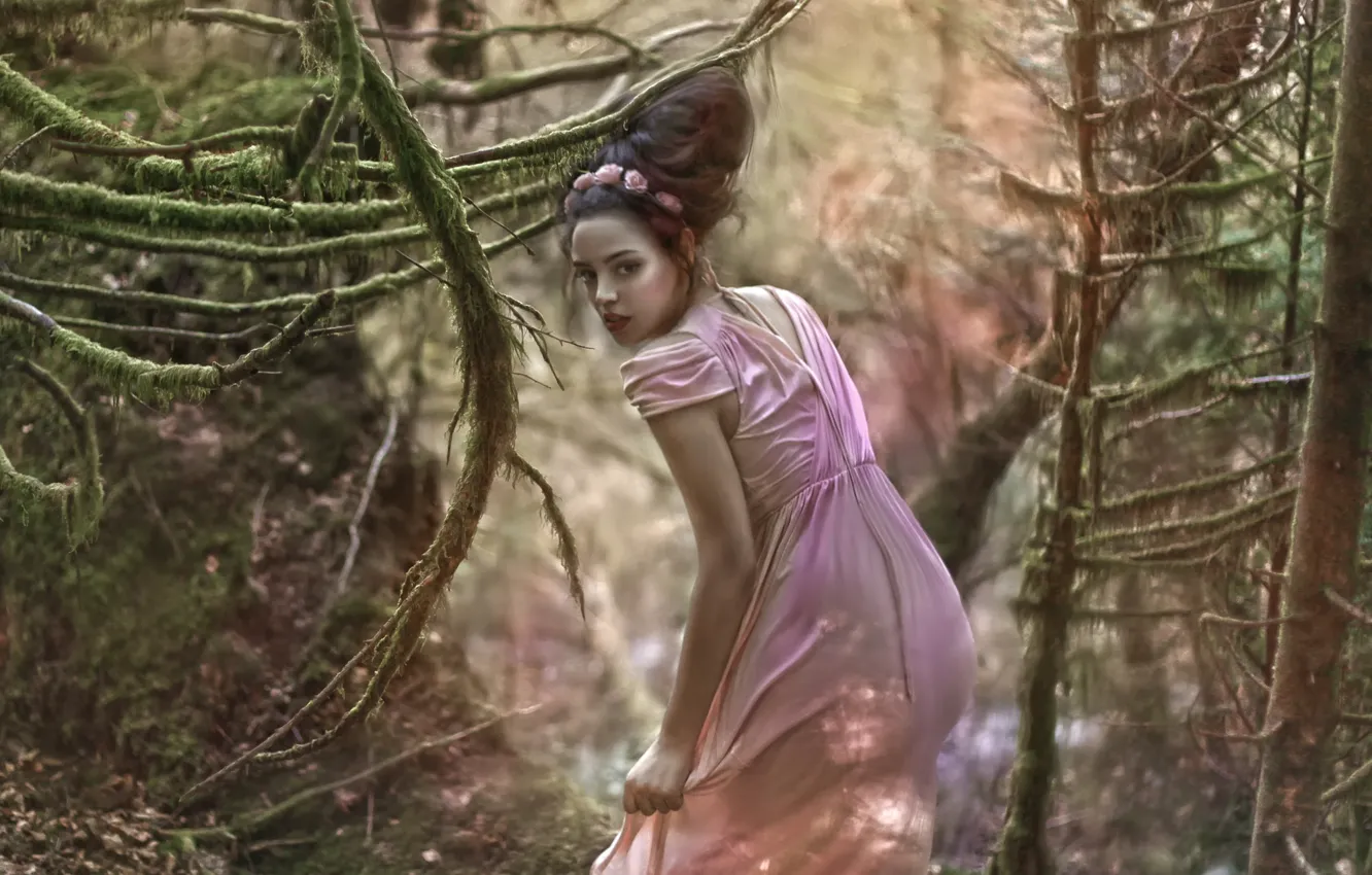 Photo wallpaper forest, girl, fantasy, art, Secret, Agnieszka Lorek, Yazzmin