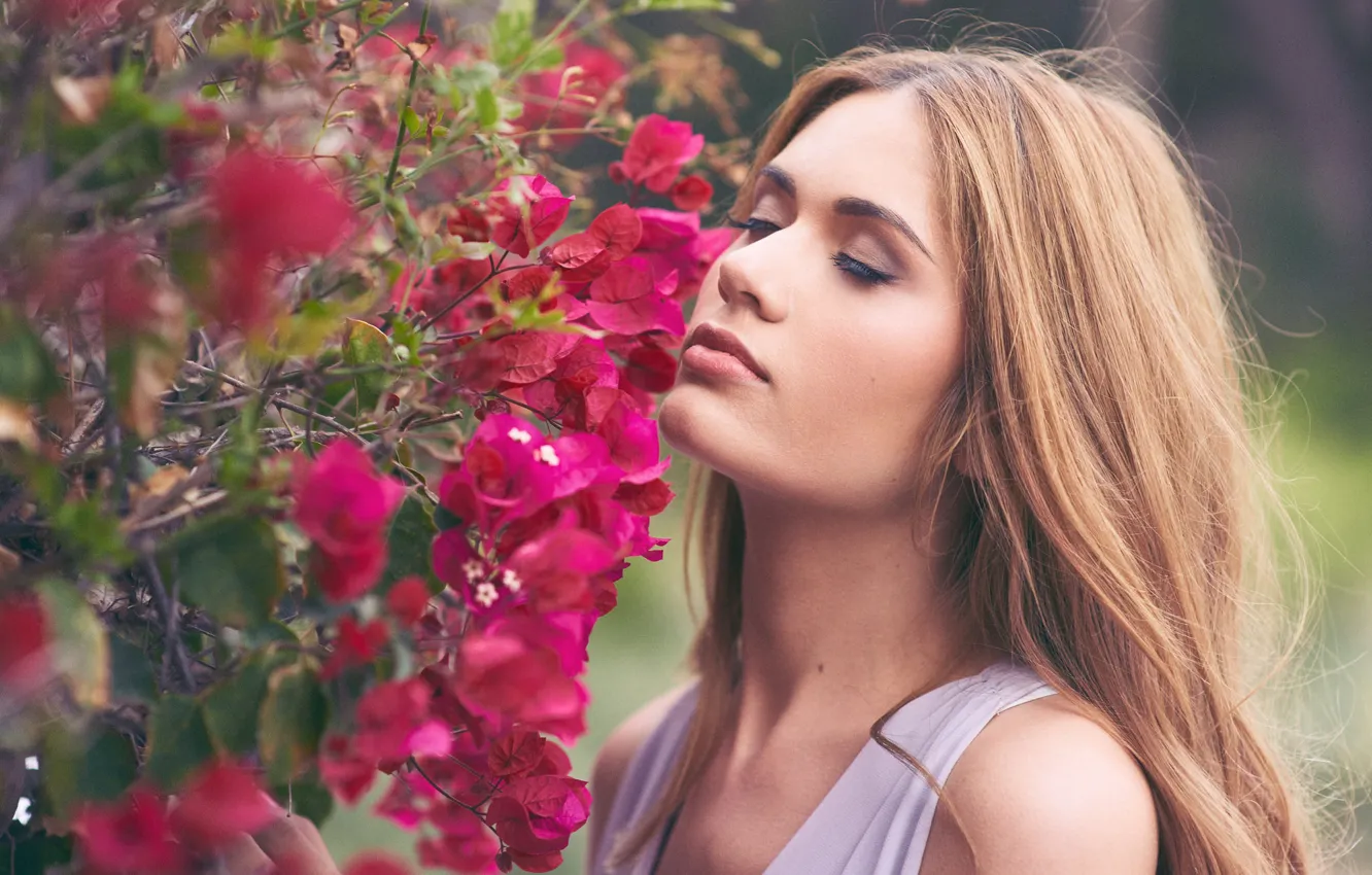 Photo wallpaper flowers, mood, bougainvillea, Andrea Garcia