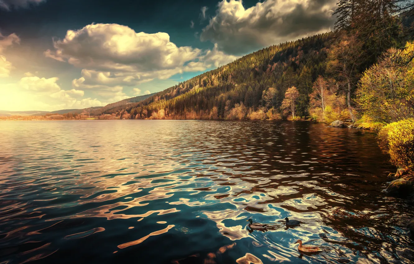 Photo wallpaper autumn, forest, clouds, lake, duck, Germany, Germany, Baden-Württemberg