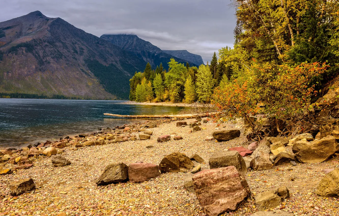 Photo wallpaper autumn, trees, mountains, lake, stones, shore, Glacier National Park, Montana