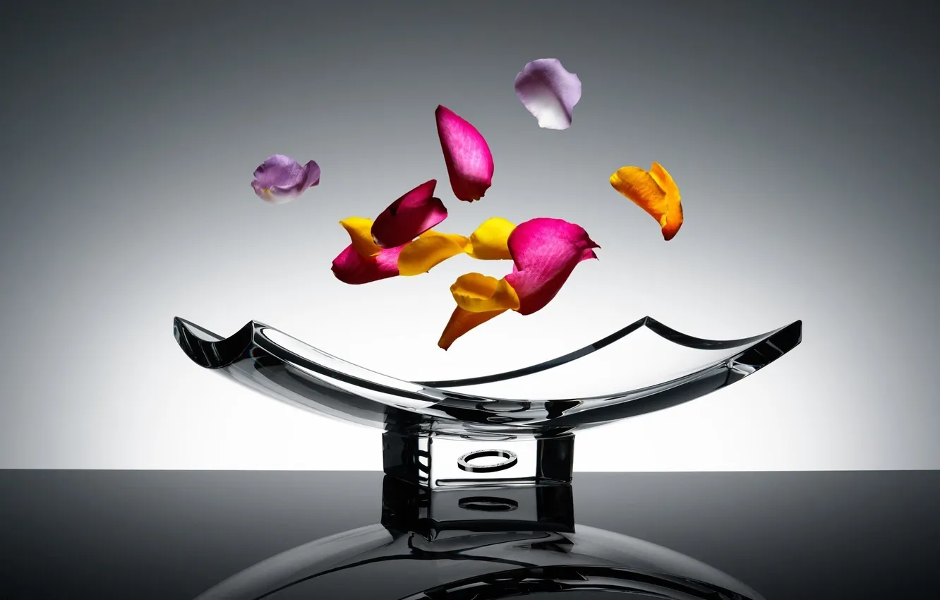 Photo wallpaper glass, color, petals, the air