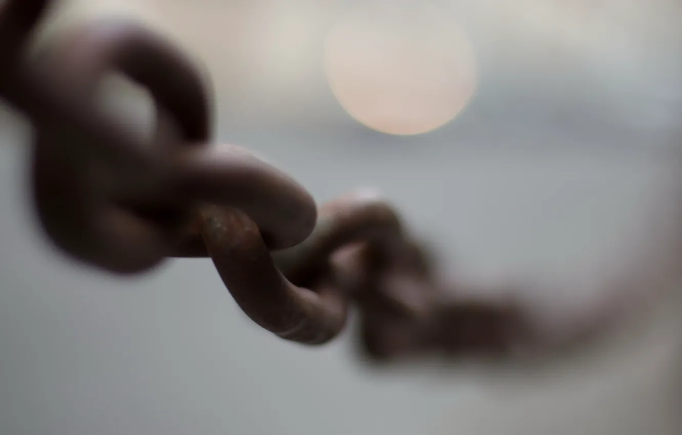 Photo wallpaper macro, background, chain
