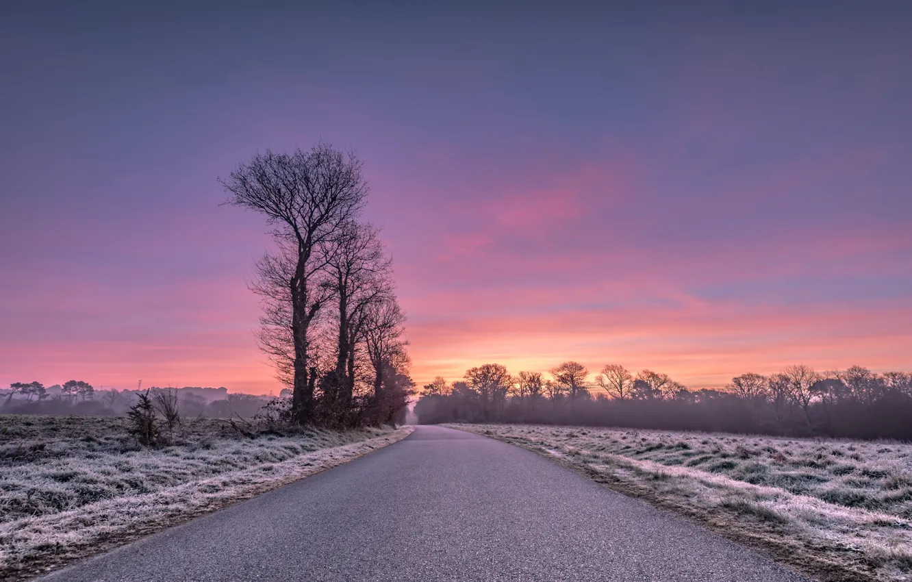 Photo wallpaper road, trees, sunset