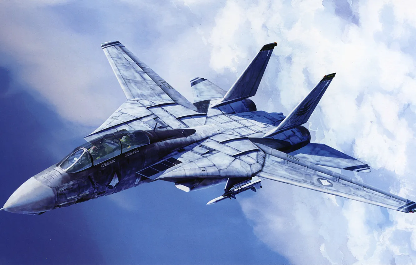 Photo wallpaper Grumman, Tomcat, F-14, Artwork, Aircraft