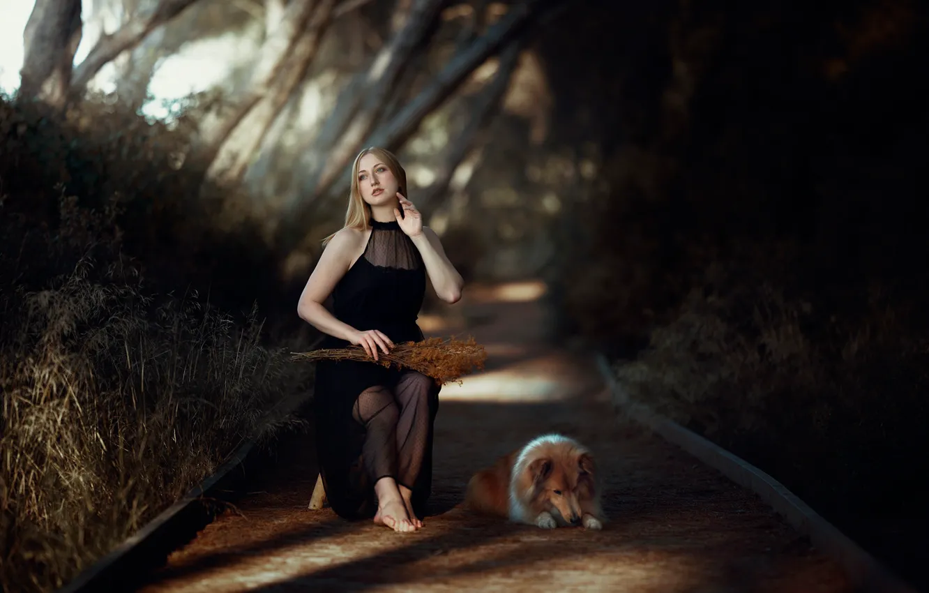 Photo wallpaper girl, nature, pose, dog, dress, barefoot, Otilia Saramet