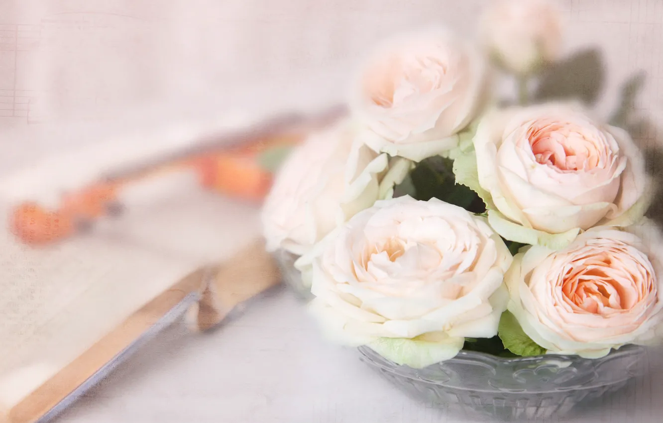 Photo wallpaper violin, roses, bouquet