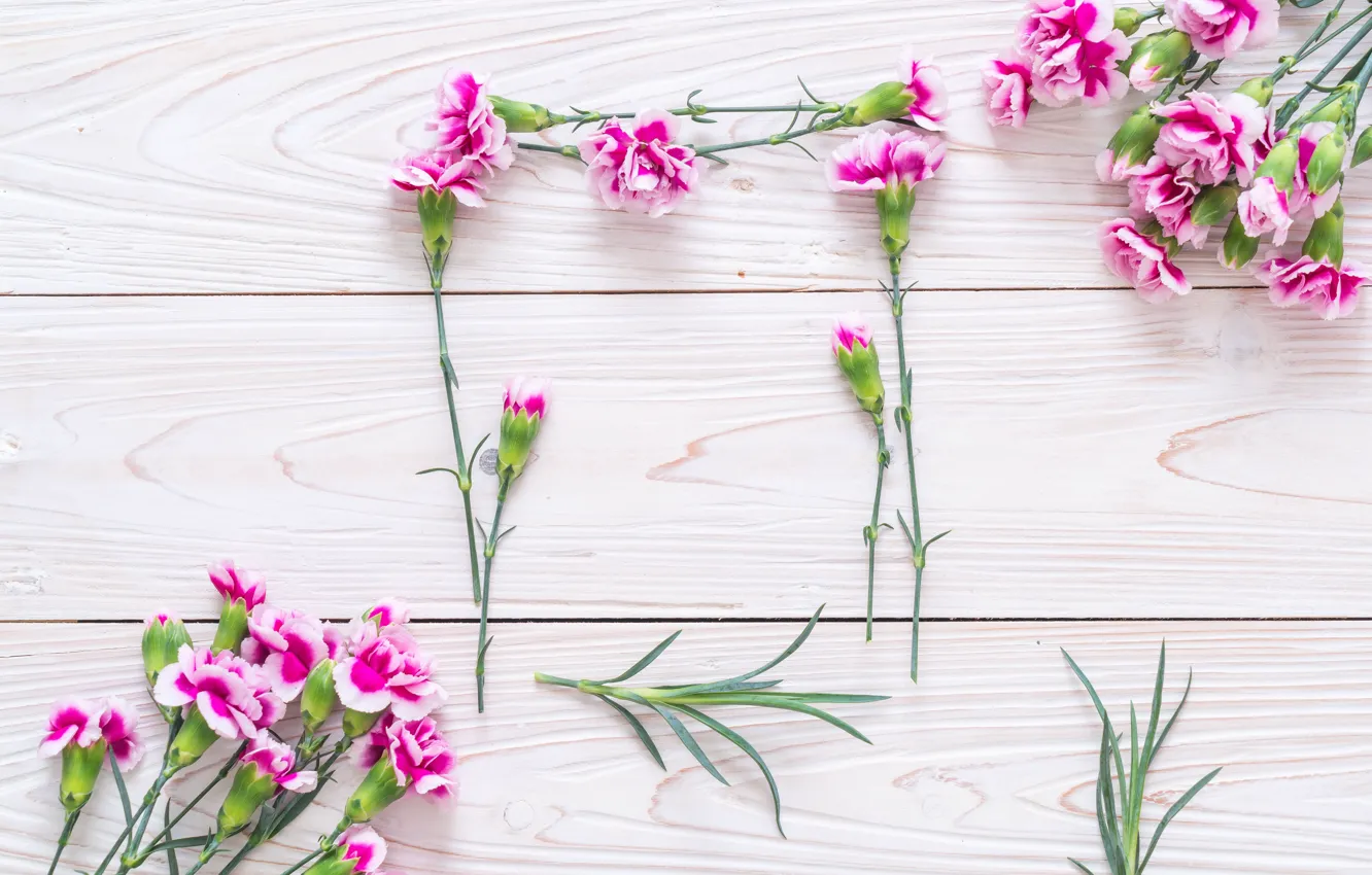 Photo wallpaper flowers, pink, wood, pink, flowers, clove