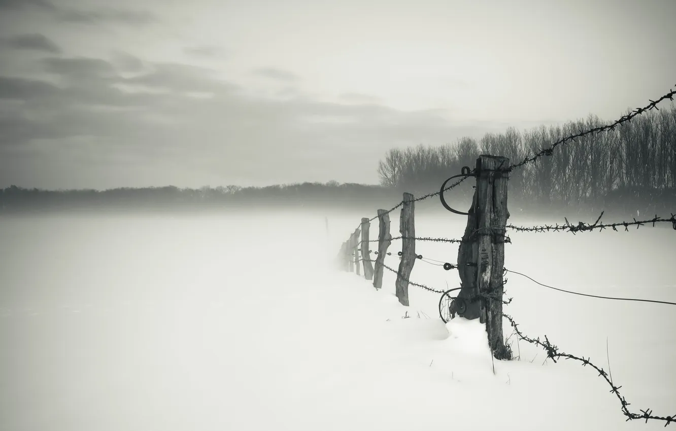 Photo wallpaper winter, field, fog, the fence