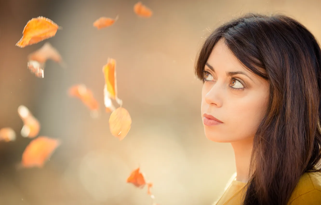 Photo wallpaper look, leaves, girl