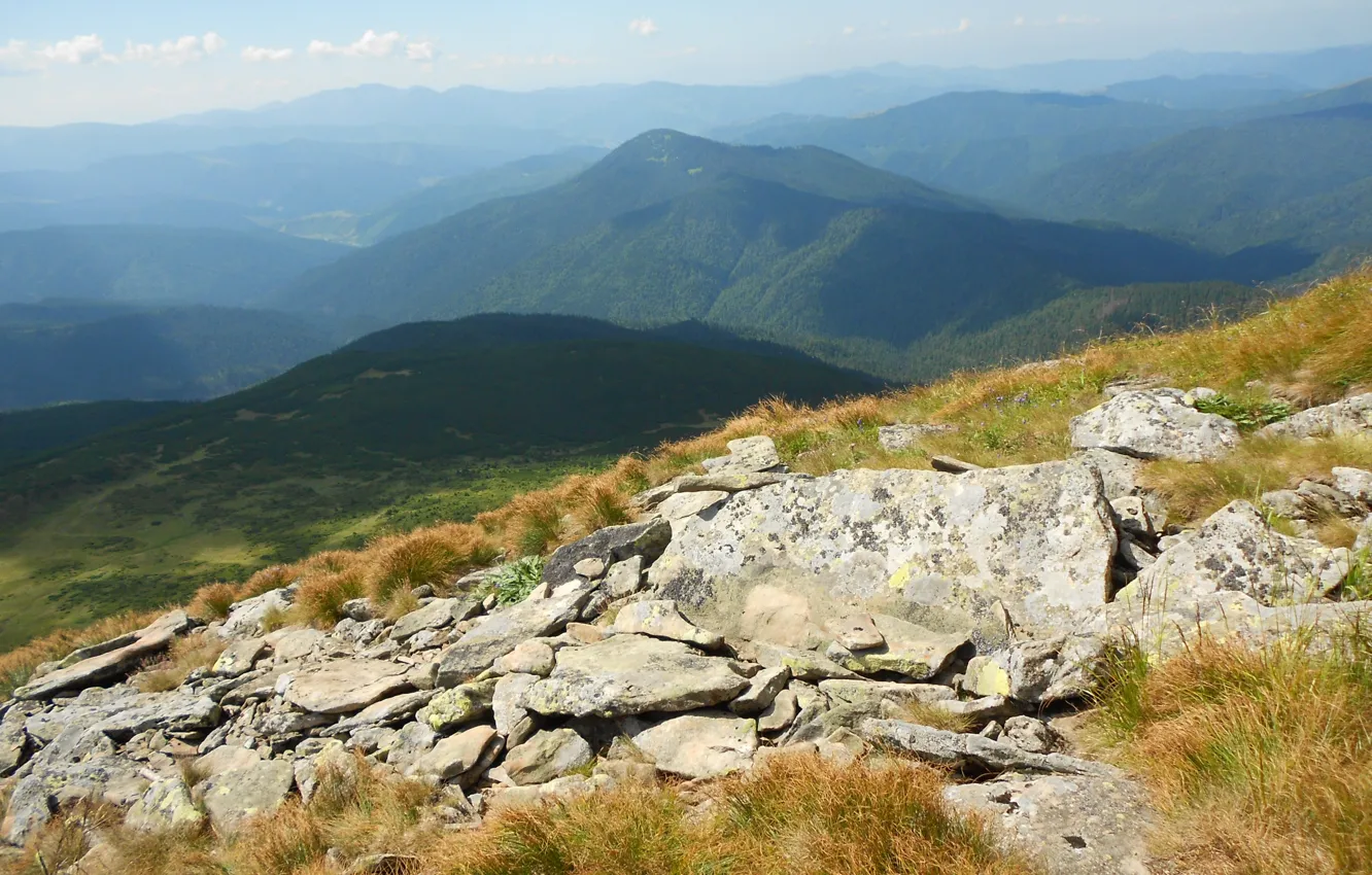 Photo wallpaper landscape, mountains, nature, Carpathians