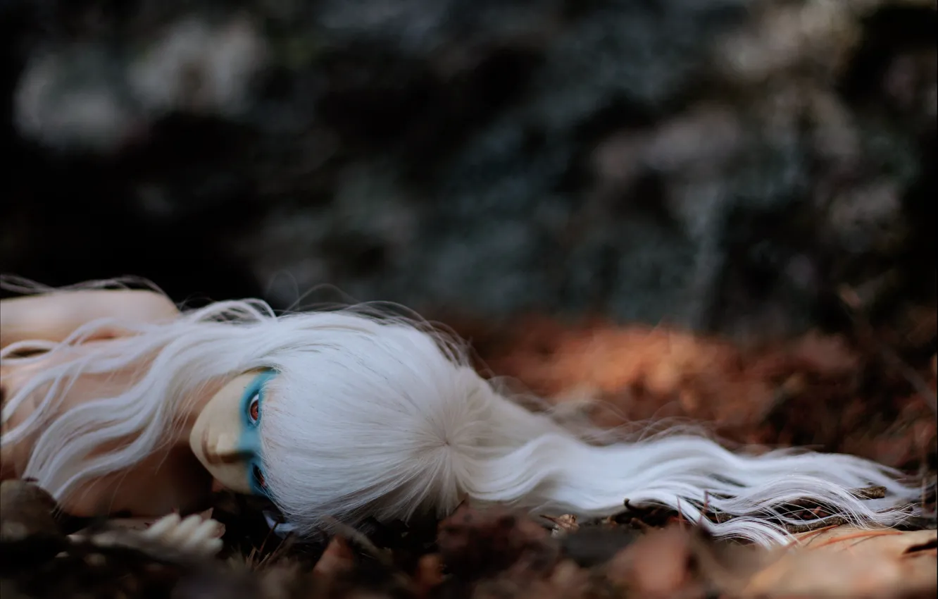 Photo wallpaper autumn, Doll, white hair