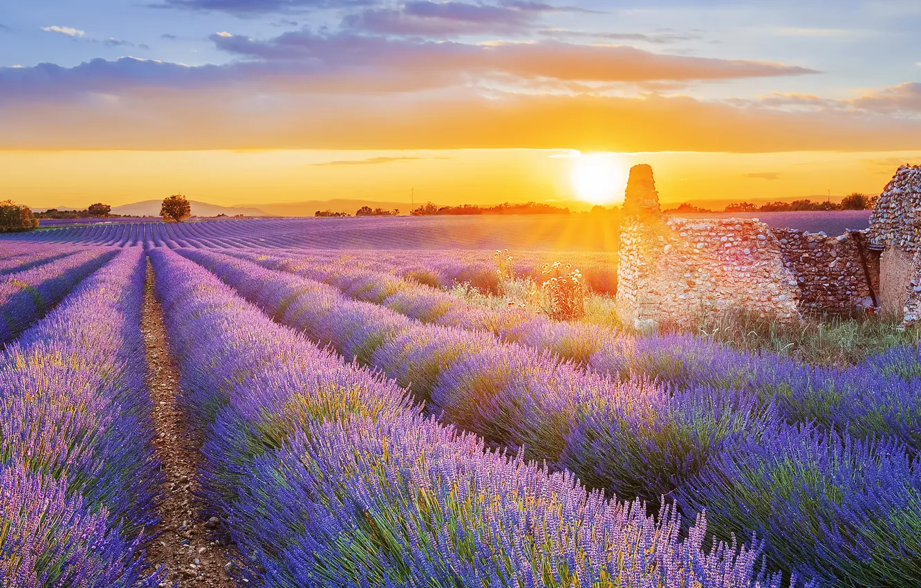 Photo wallpaper colorful, field, landscape, nature, sunset, sun, ruins, lavender