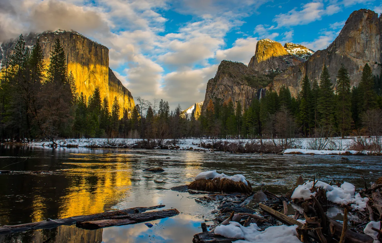 Photo wallpaper winter, forest, the sky, water, clouds, light, snow, landscape