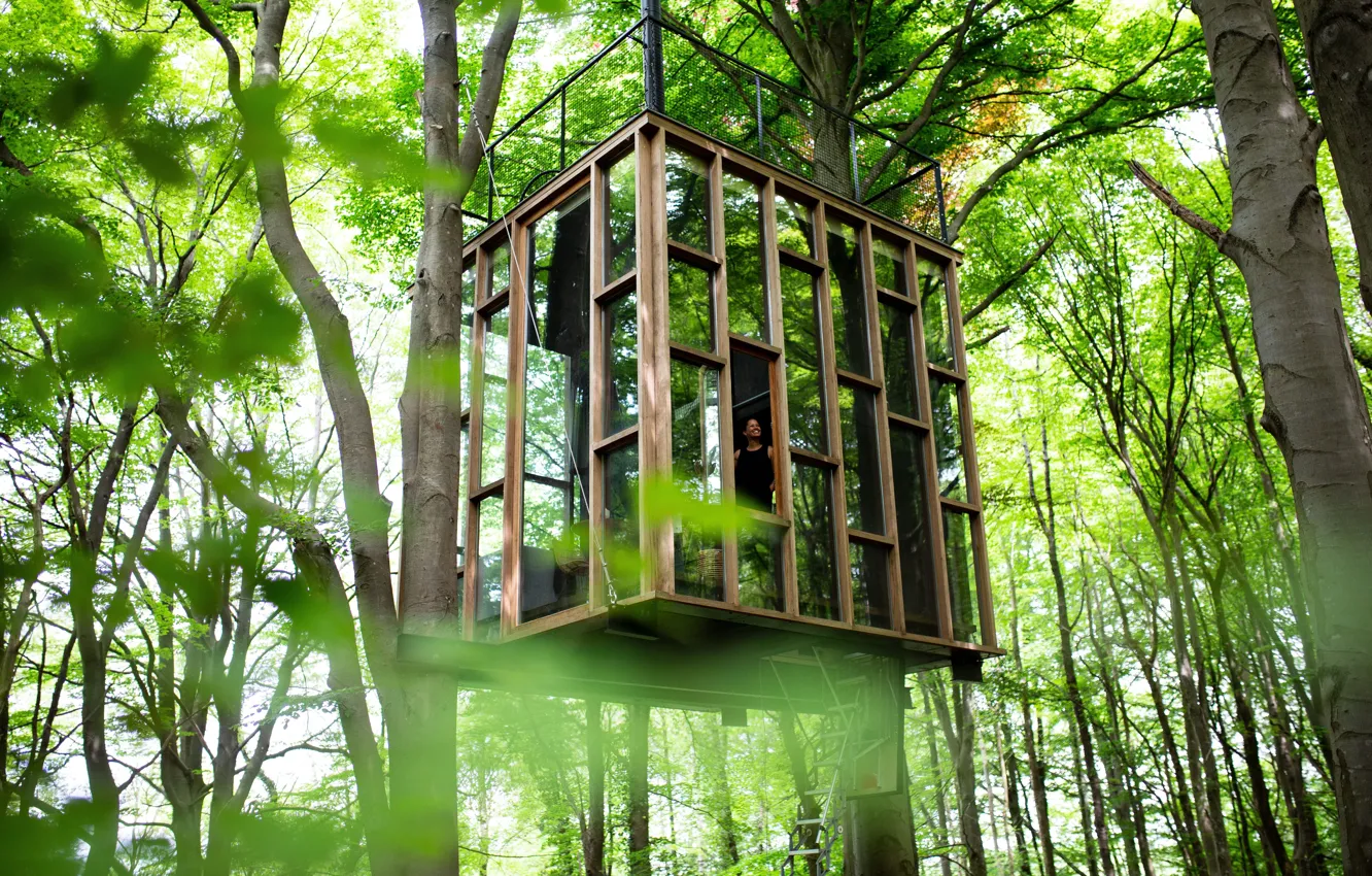 Photo wallpaper Girl, Trees, Tree house, Belgian Ardennes, Glass cabin, Belgian Ardennes, Glass House, Luxury shelter