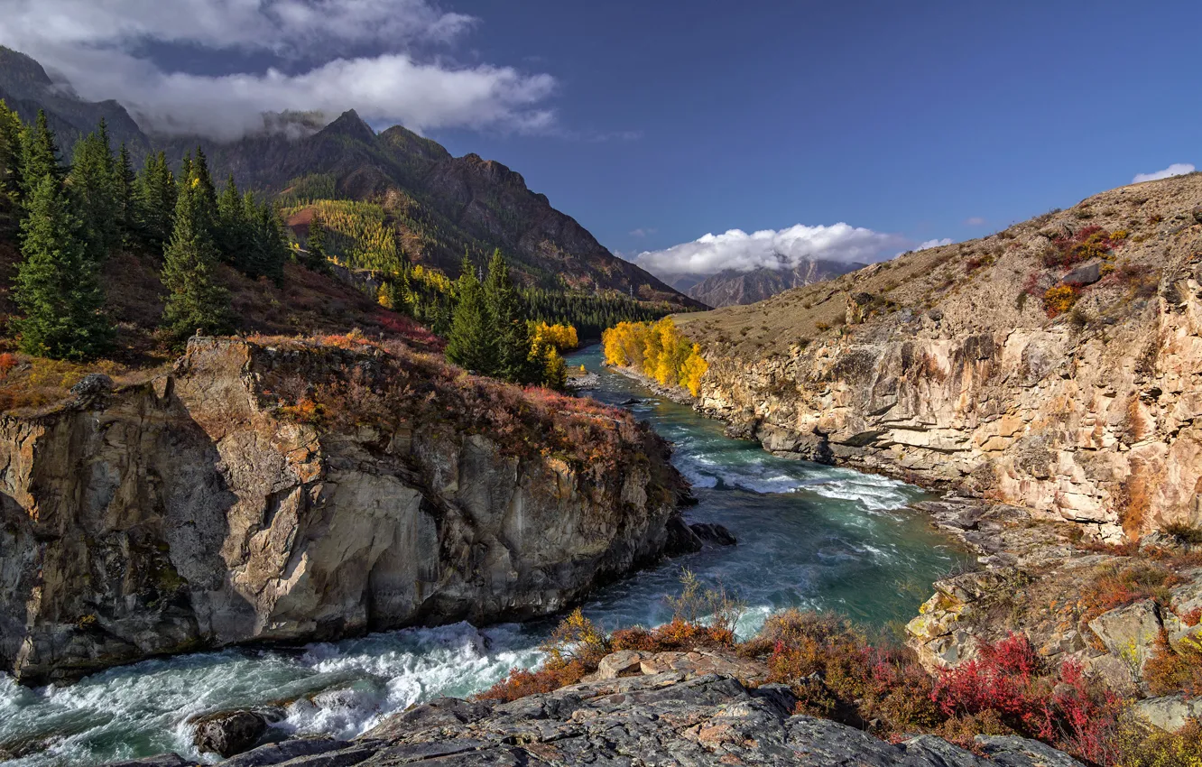 Photo wallpaper autumn, clouds, landscape, mountains, nature, river, Altay, Chewie