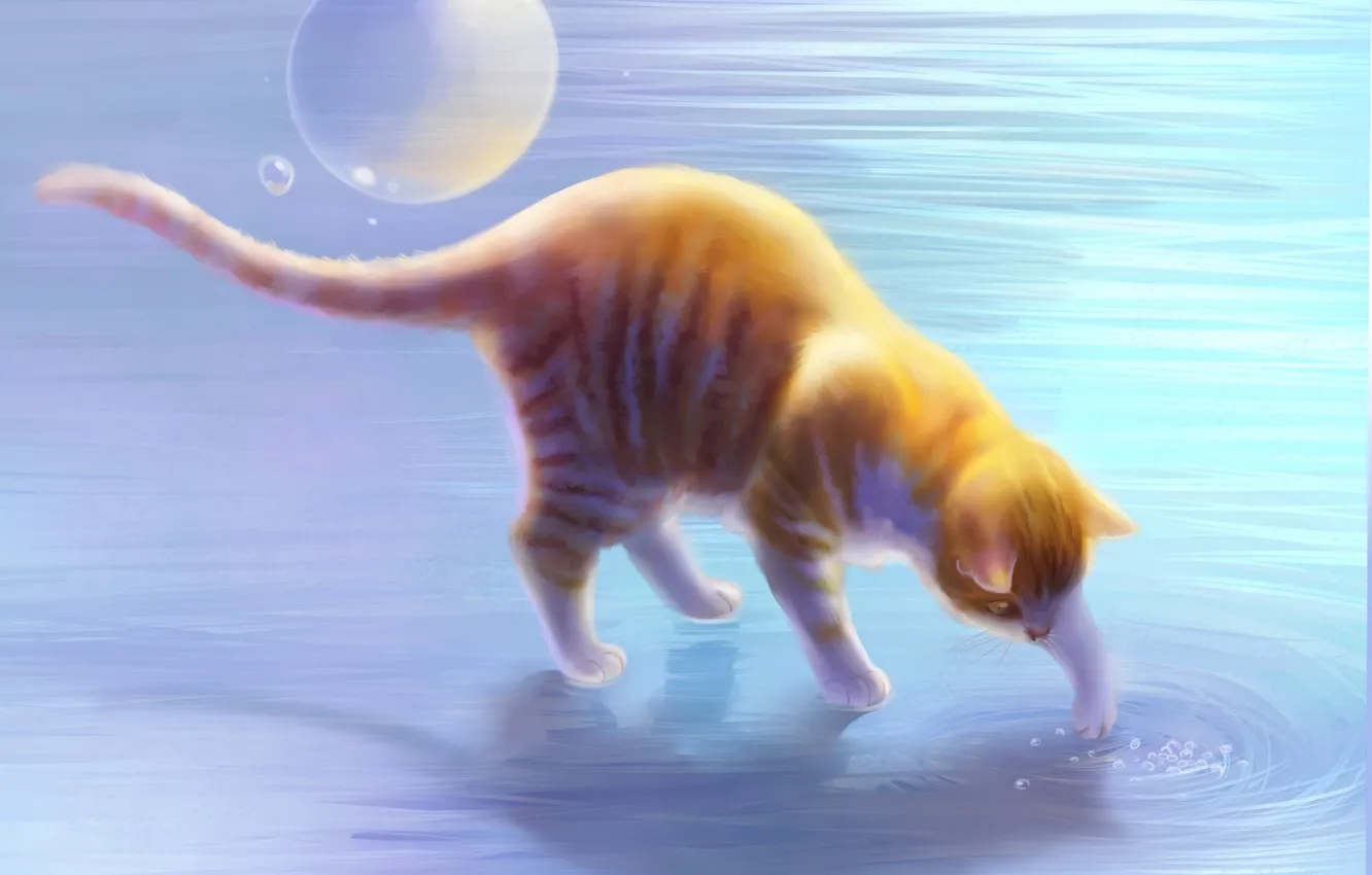 Photo wallpaper cat, water, circles, bubbles, art, red