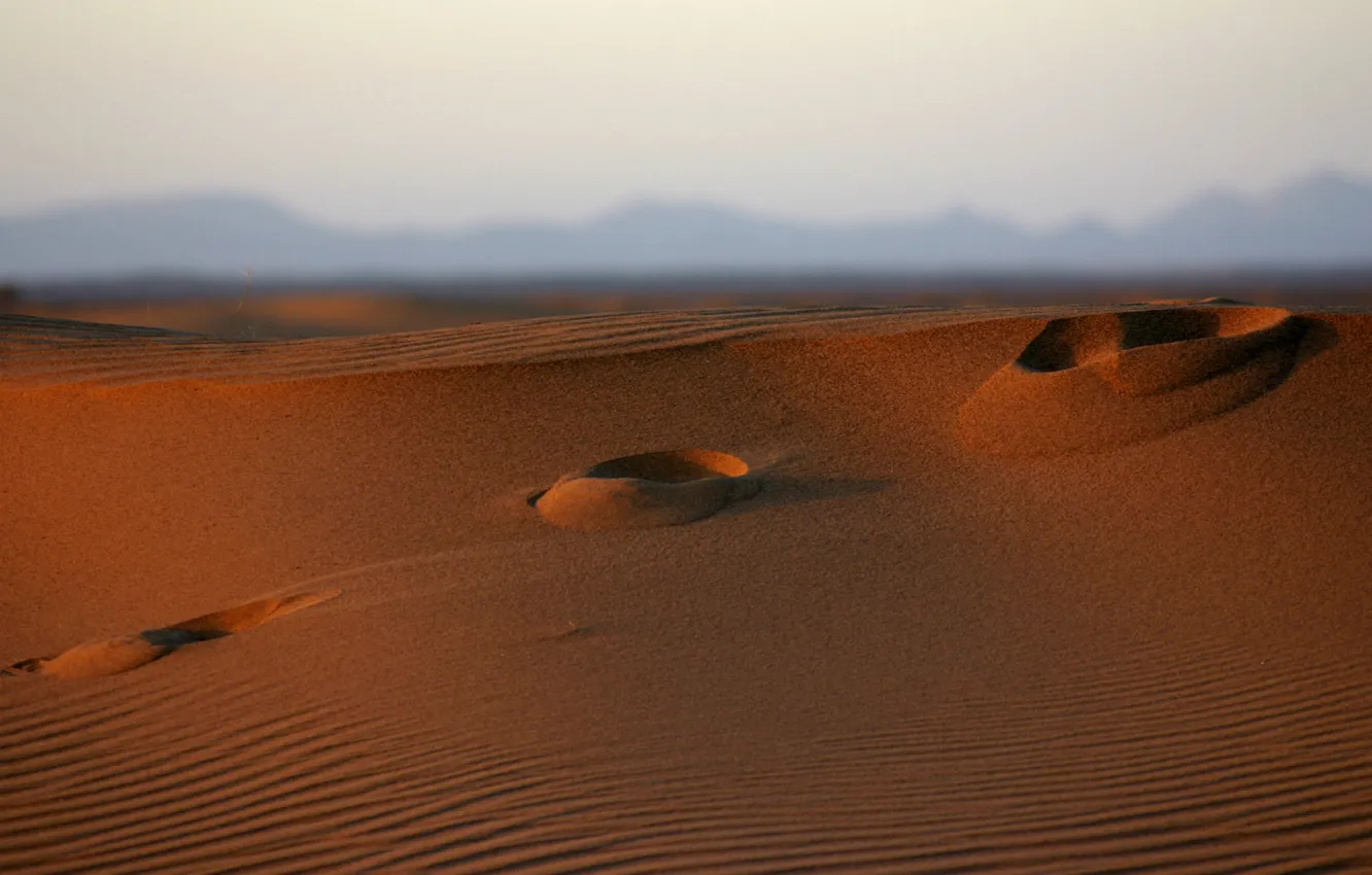 Photo wallpaper sand, macro, traces, photo, the wind, hills, desert, landscapes