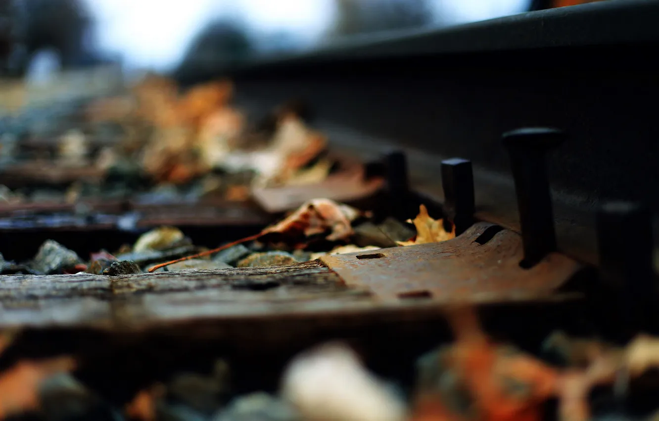 Photo wallpaper macro, rails, railroad