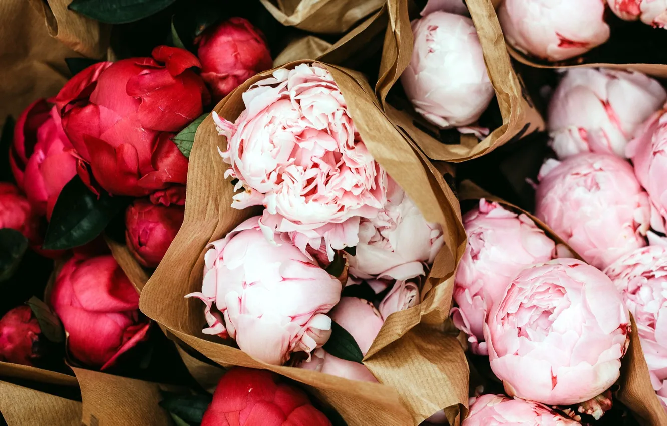 Photo wallpaper paper, bouquet, peonies