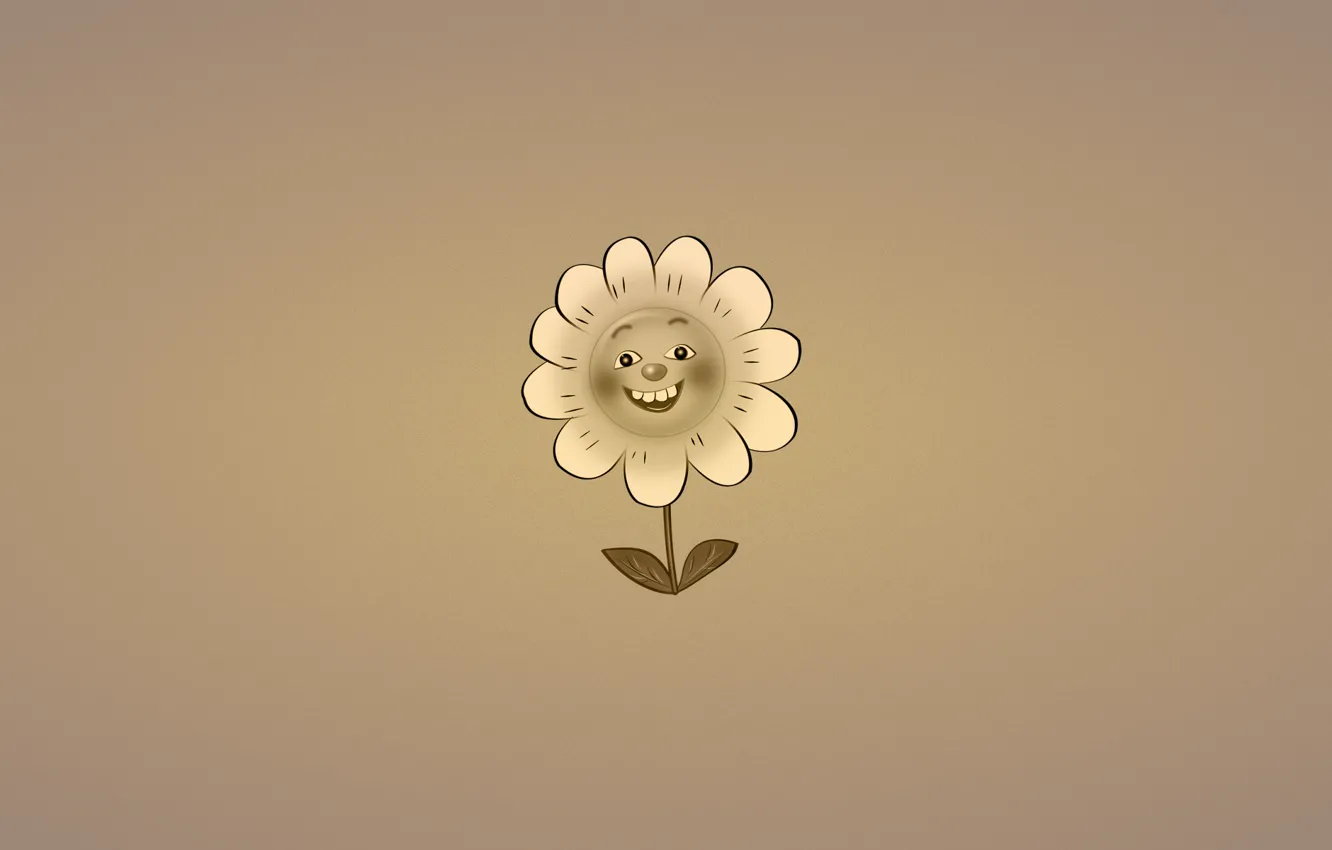 Photo wallpaper flower, smile, plant, minimalism, Daisy, leaves, dark background