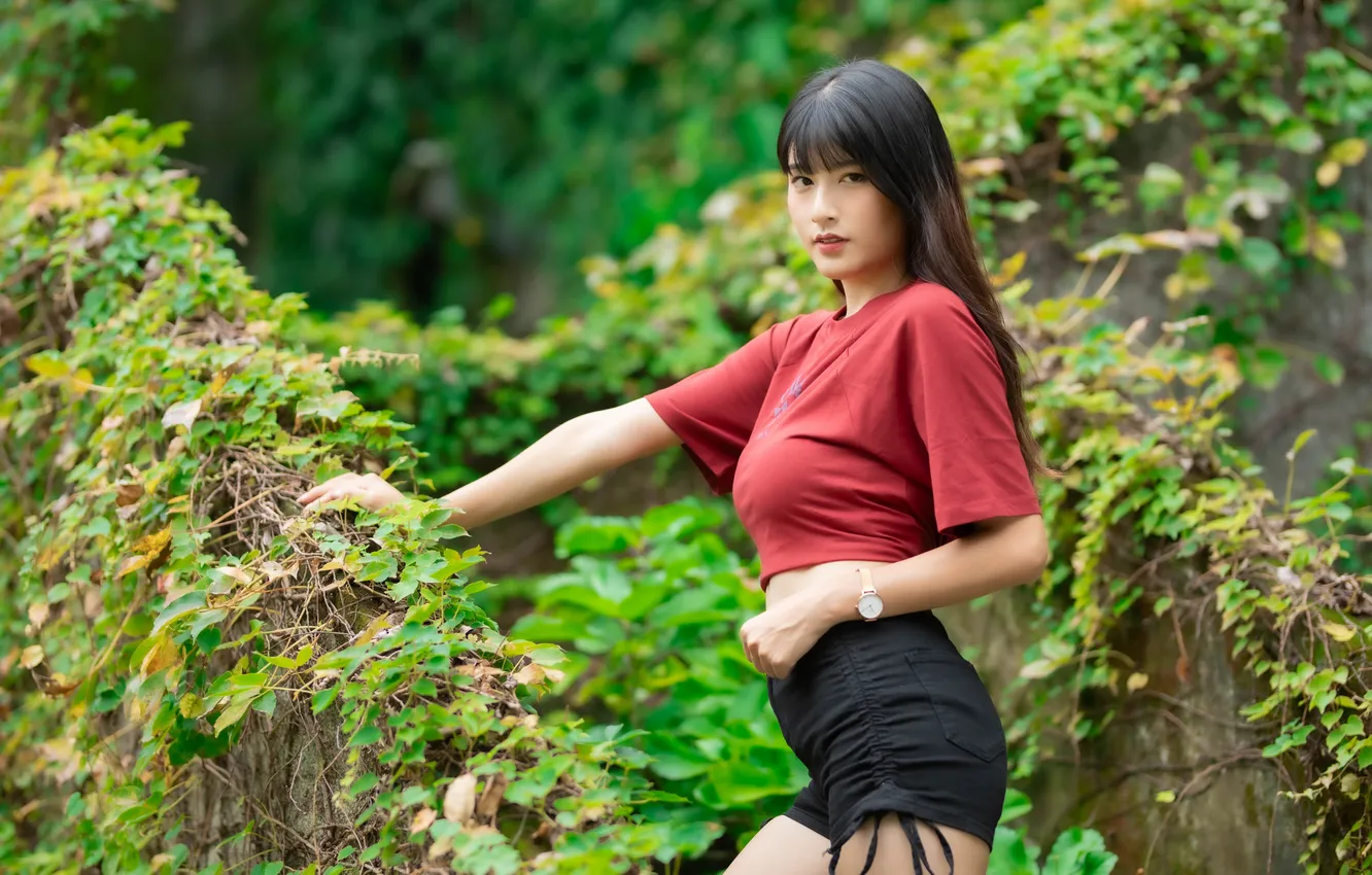 Photo wallpaper look, girl, shorts, brunette, t-shirt, Asian