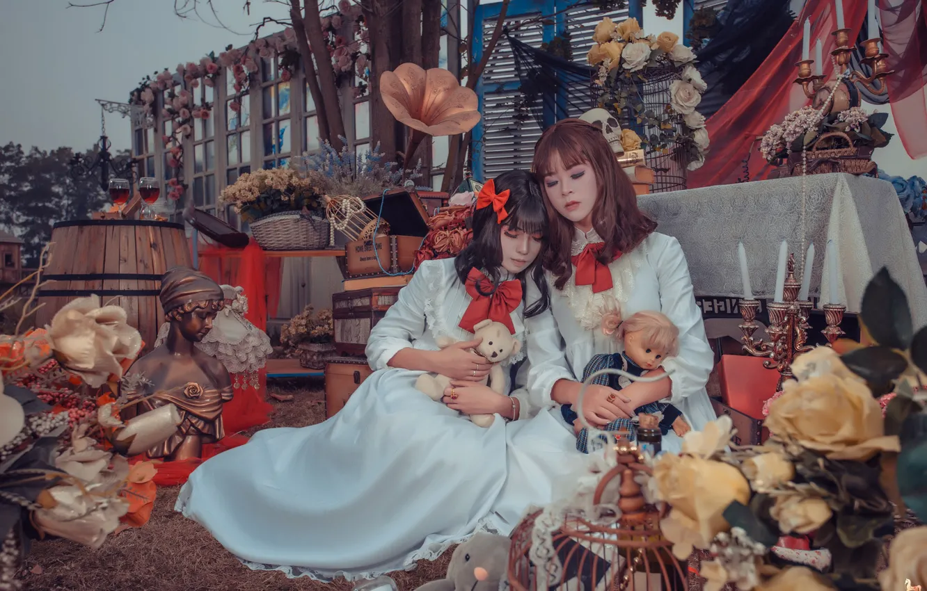 Photo wallpaper girl, background, toy, doll, dress