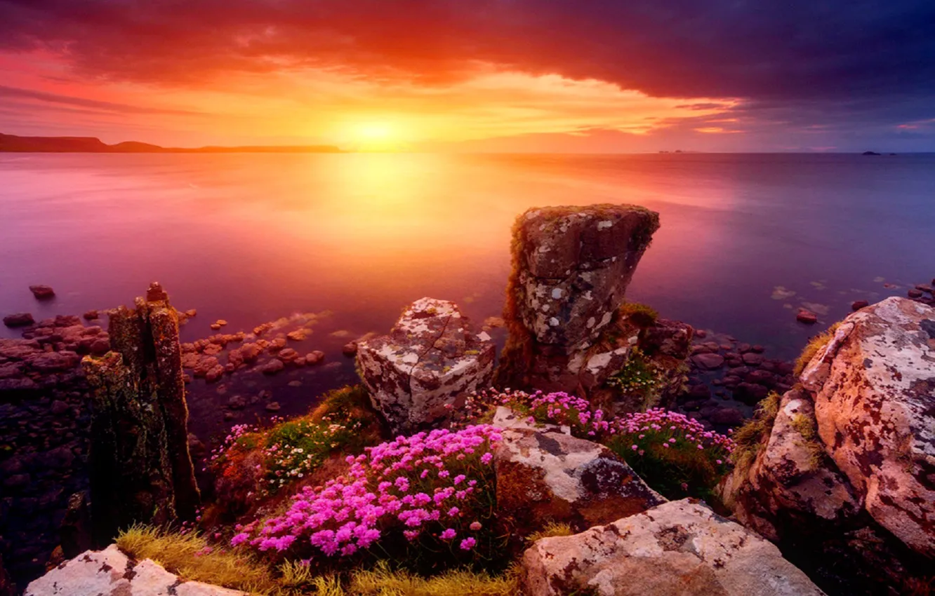 Photo wallpaper the sun, stones, shore, horizon