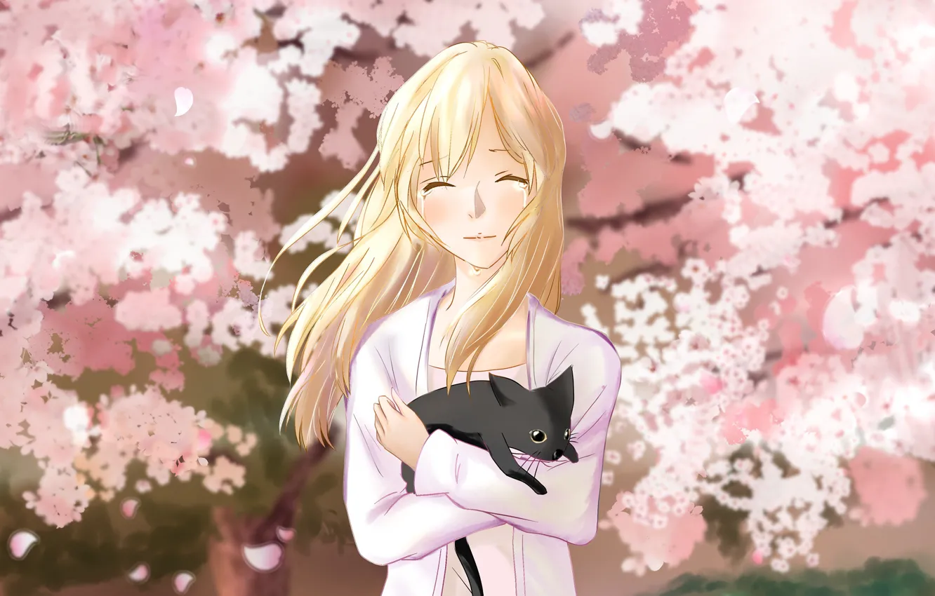 Photo wallpaper cat, girl, spring, garden, Sakura, Shigatsu wa Kimi no Uso, Your April lie
