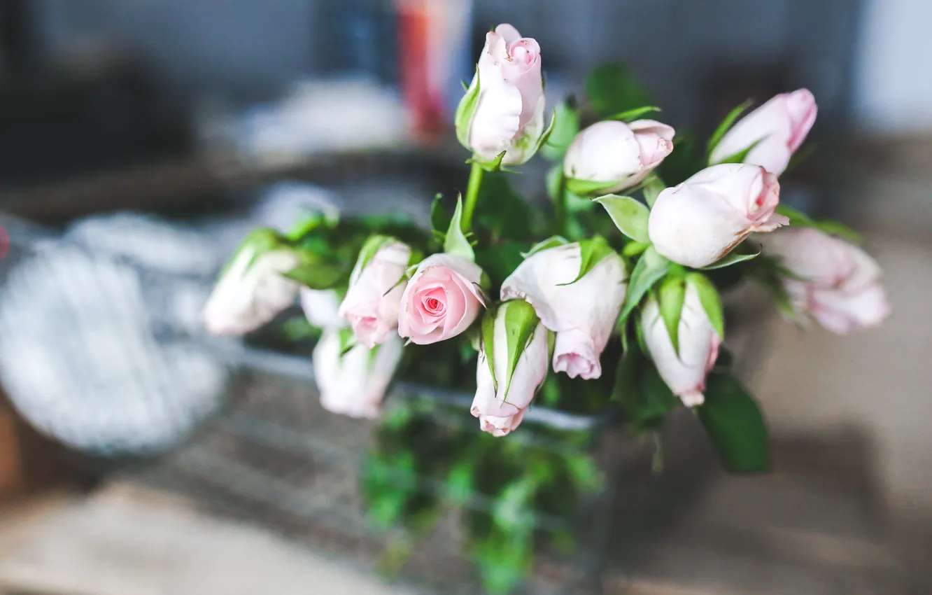 Photo wallpaper flowers, roses, bouquet, gentle