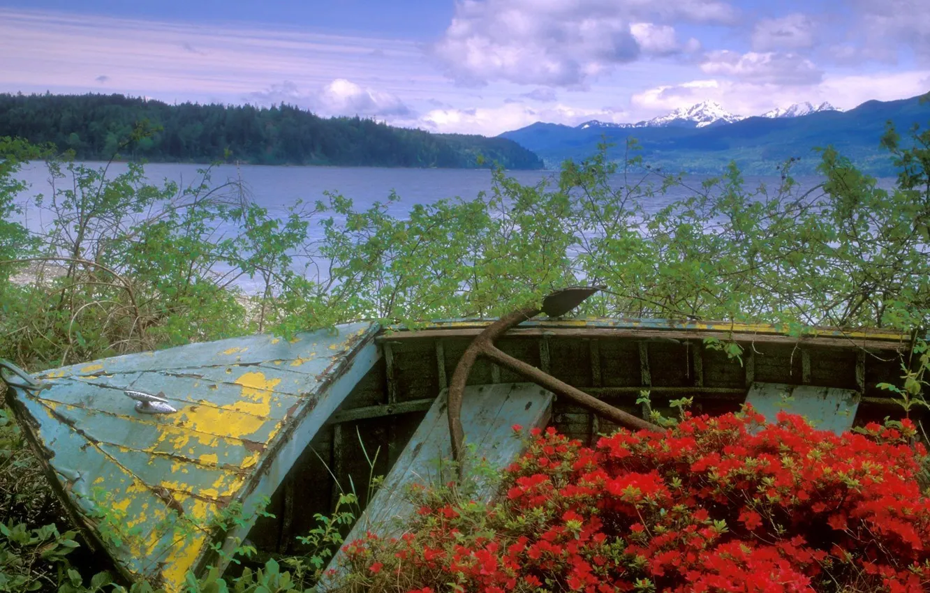 Photo wallpaper flowers, boat, channel, Washington