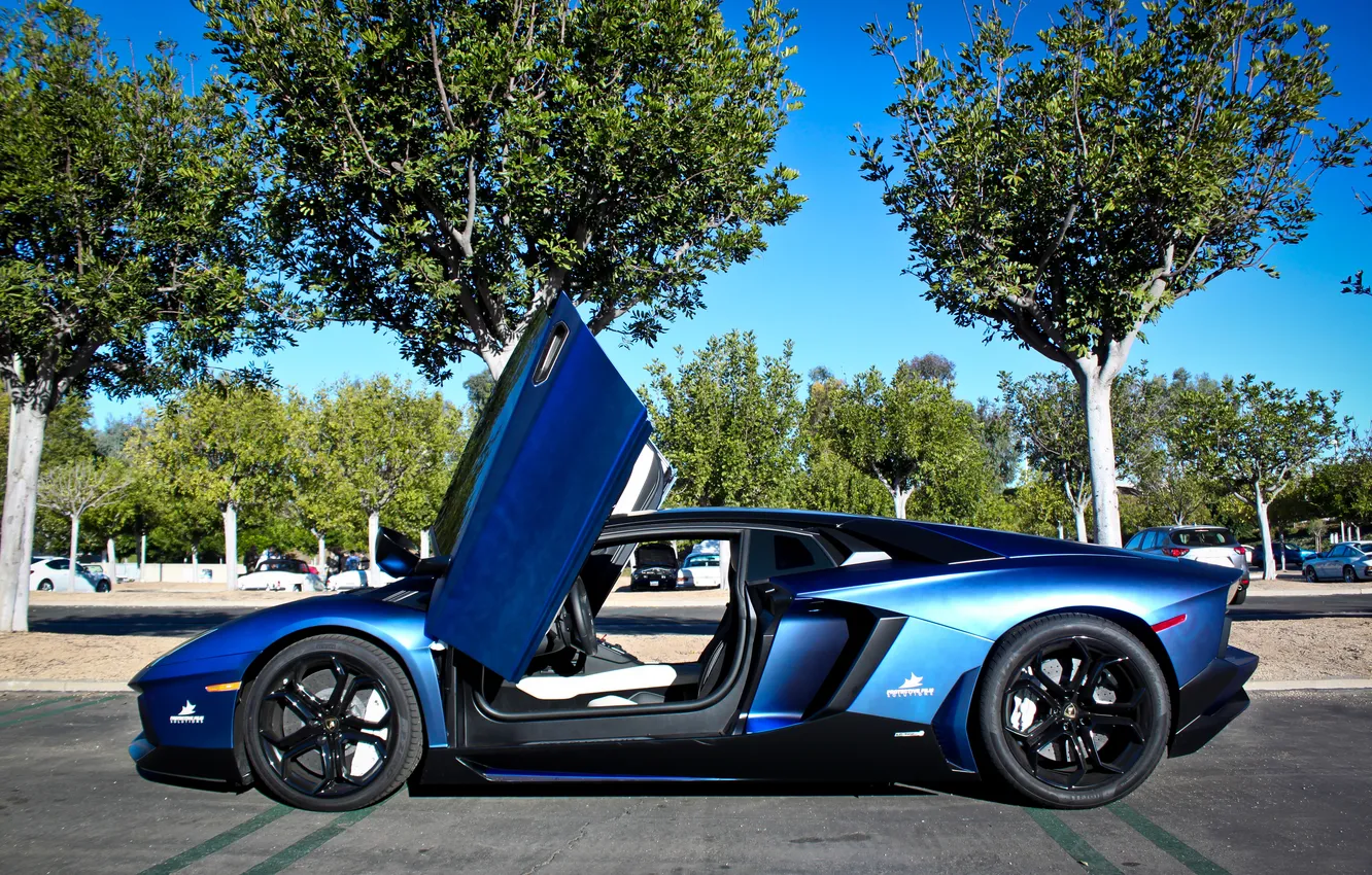 Photo wallpaper the sky, trees, blue, Lamborghini, profile, Parking, blue, LP700-4