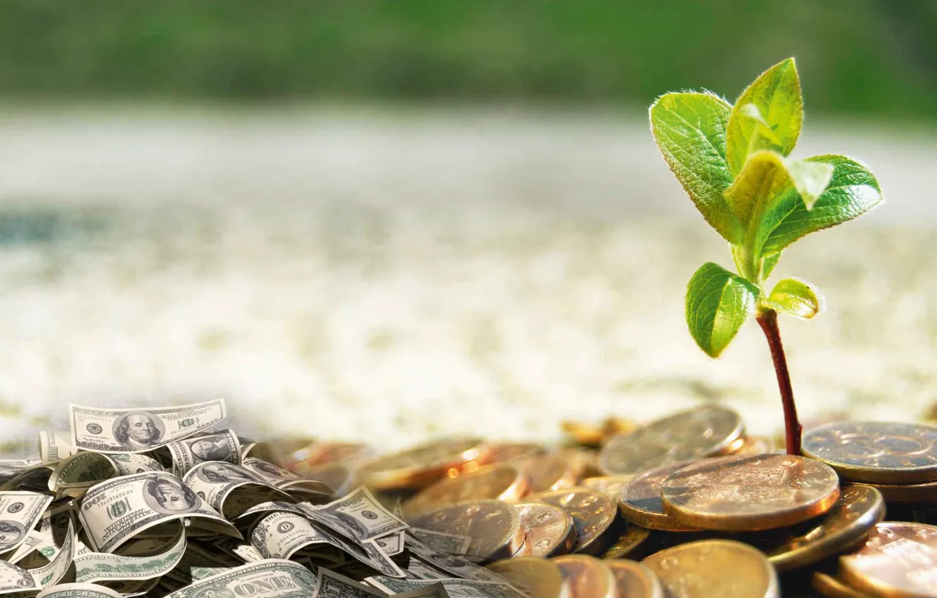 Photo wallpaper flowers, money, coins