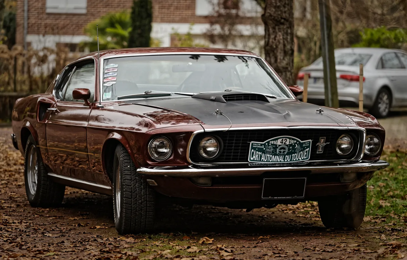 Photo wallpaper Mustang, Ford, the front, Muscle car, Muscle car