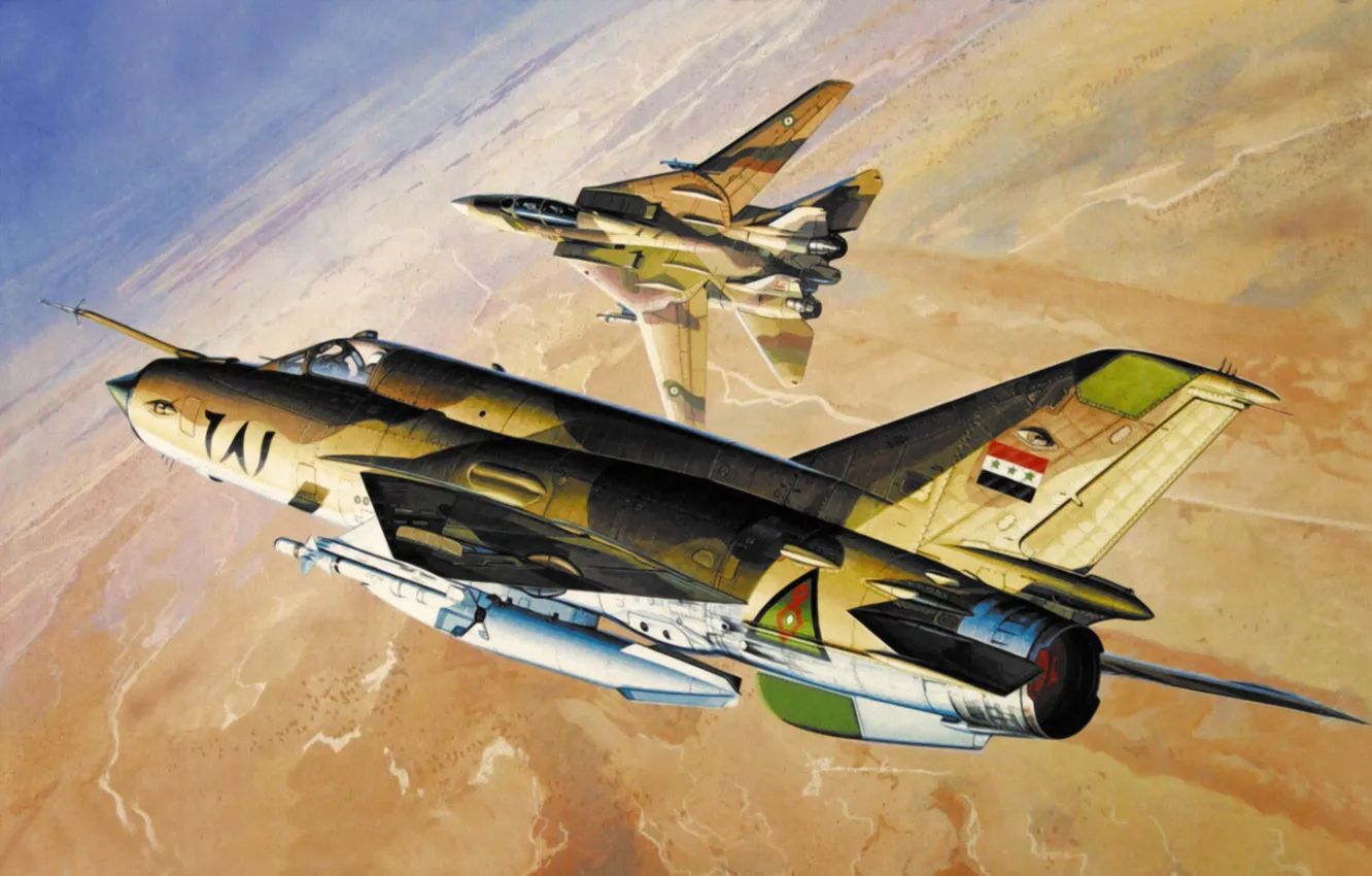 Photo wallpaper war, aviation art, Grumman F-14 Tomcat, paintng, Mig-21 MF JAY Fighter