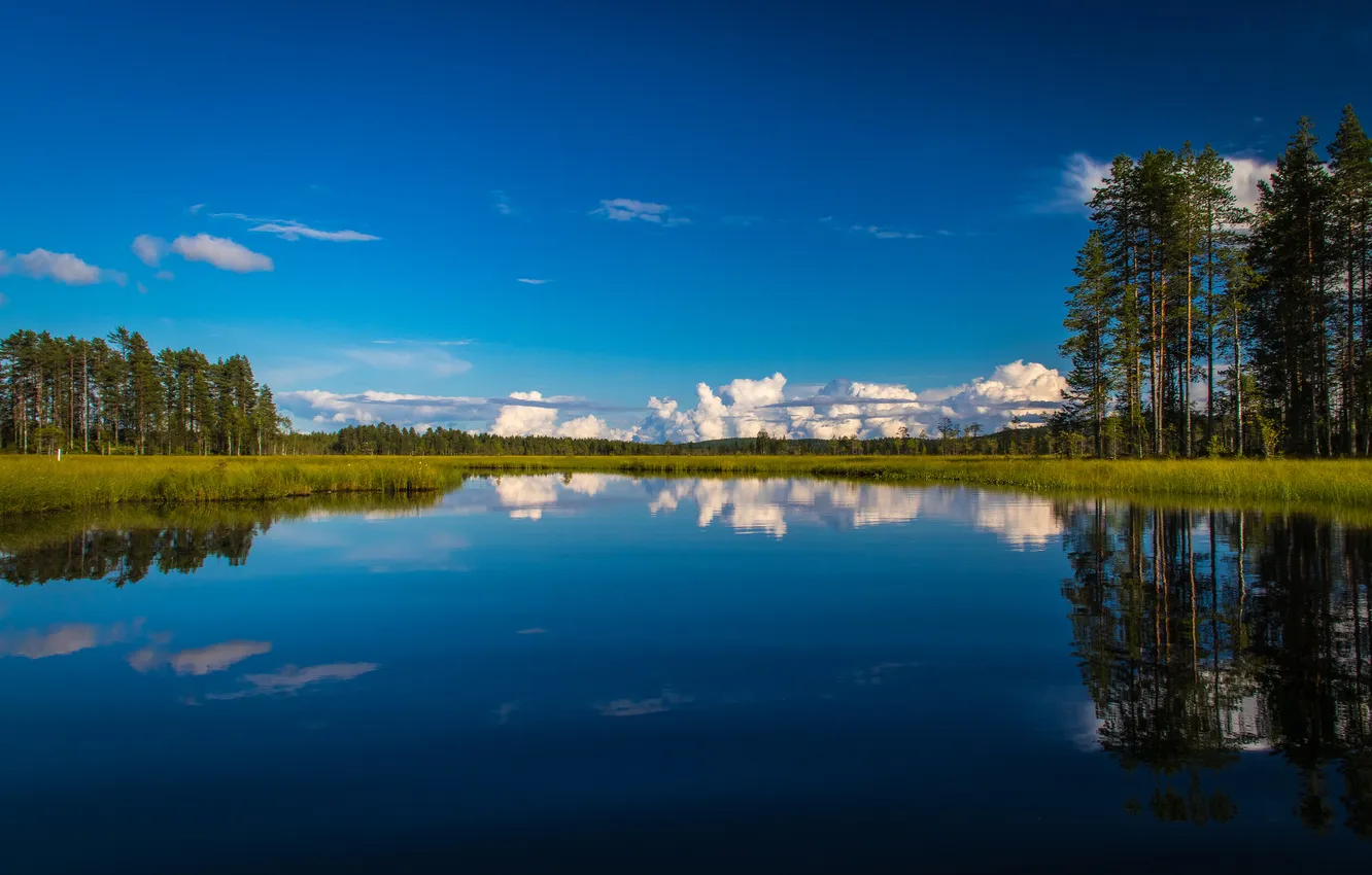 Photo wallpaper trees, nature, lake, reflection