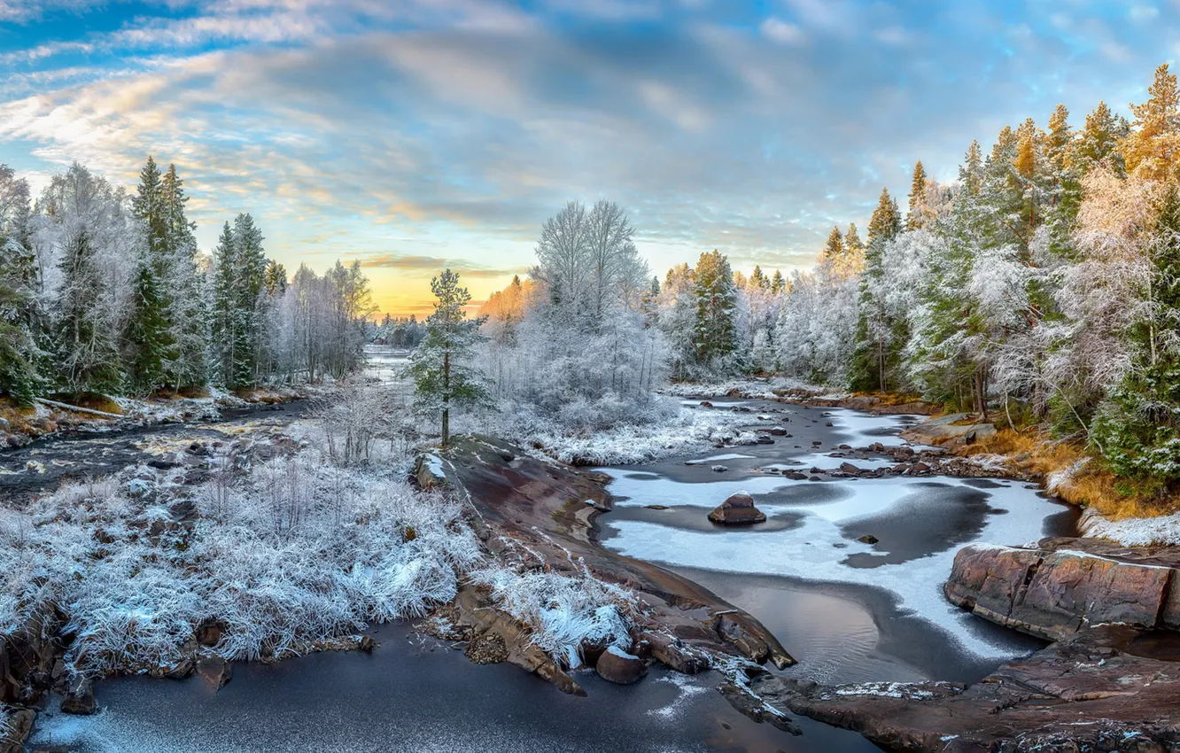 Photo wallpaper autumn, forest, nature, river