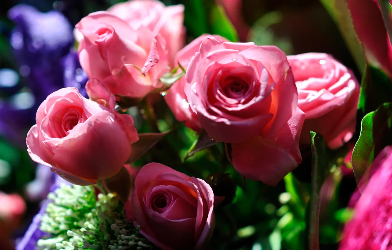 Photo wallpaper flowers, roses, bouquet