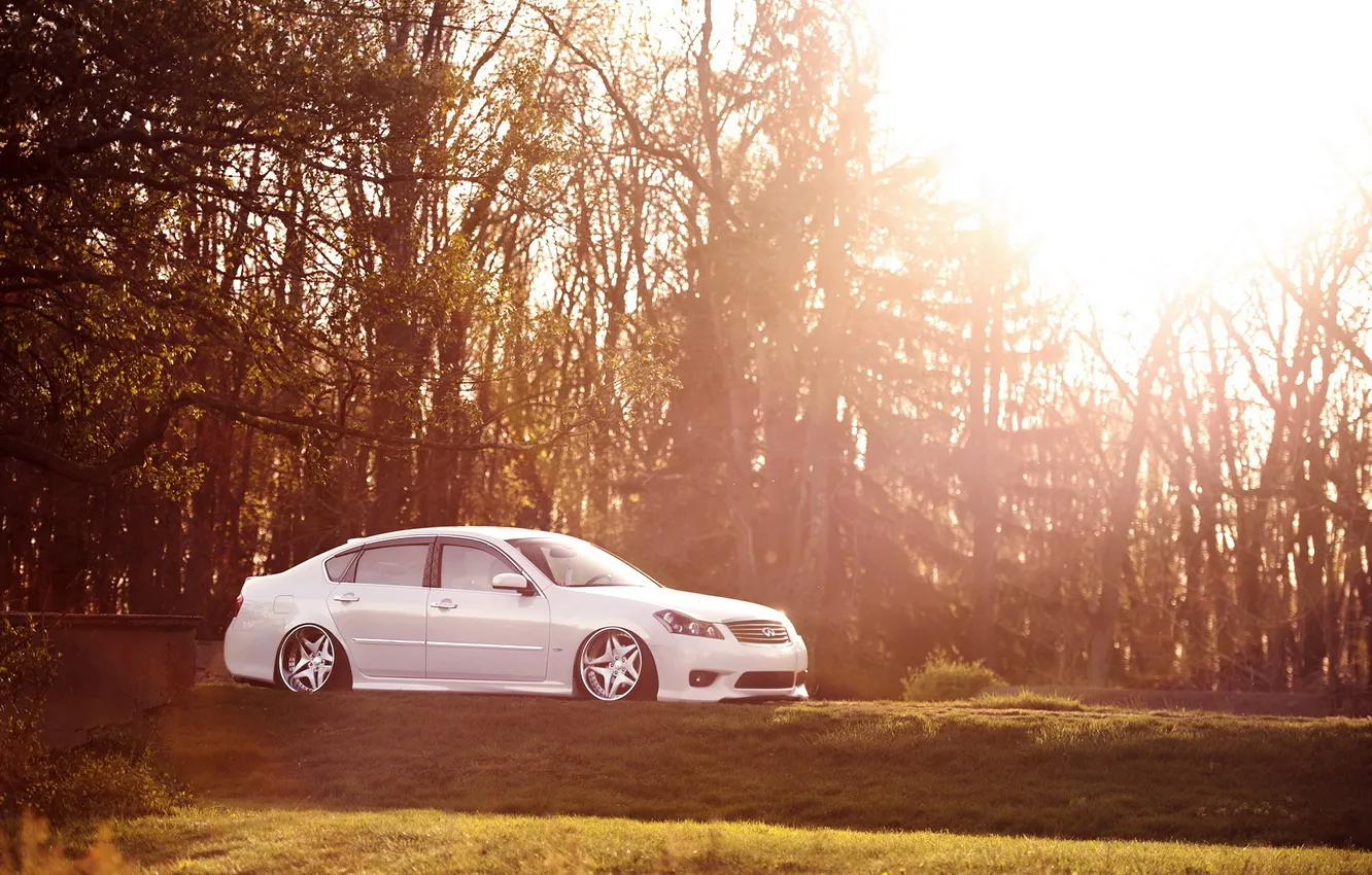 Photo wallpaper the sun, light, trees, tuning, stance, pneumo, infiniti M35
