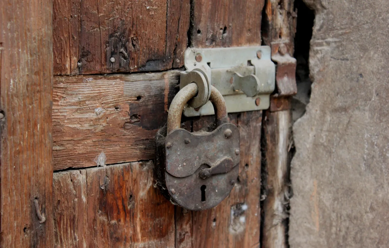Photo wallpaper macro, castle, the door, gossamer