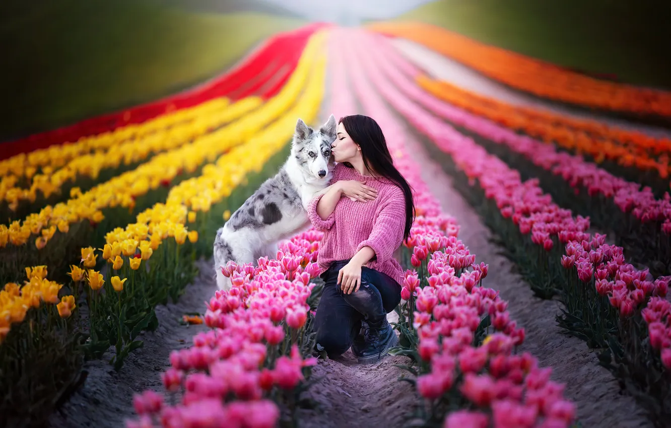 Photo wallpaper girl, flowers, dog