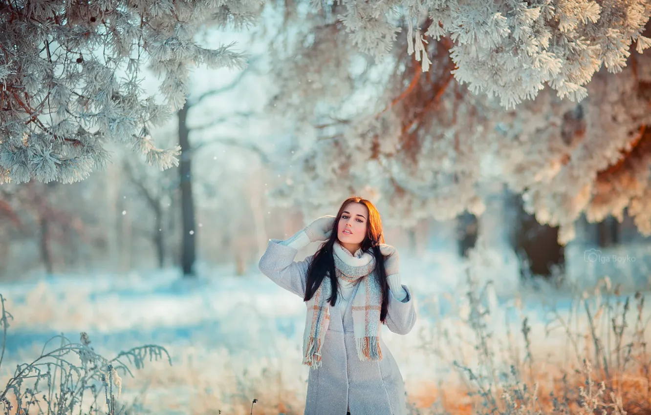 Photo wallpaper winter, frost, forest, look, girl, light, snow, trees