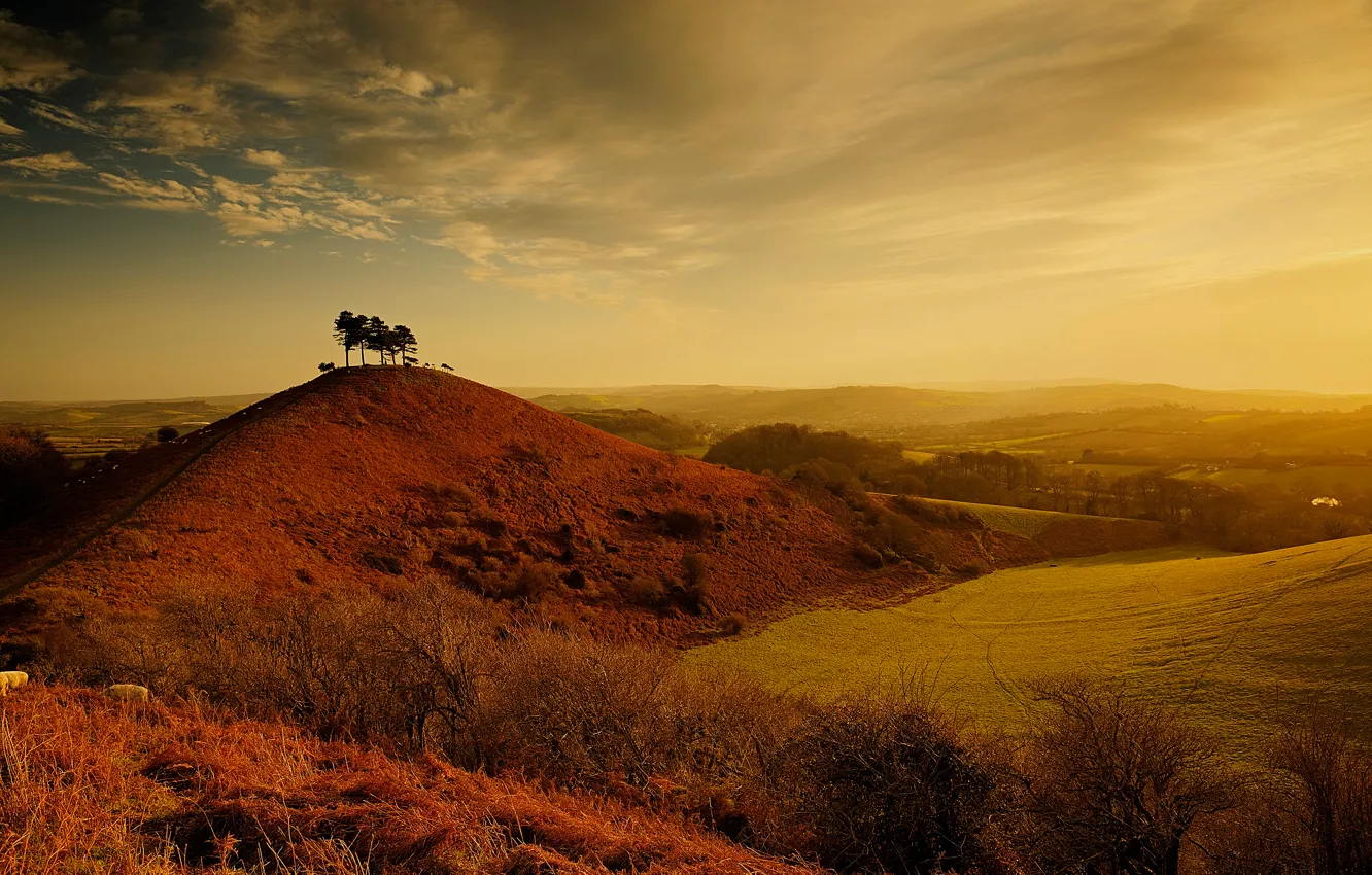 Photo wallpaper clouds, trees, landscape, hills