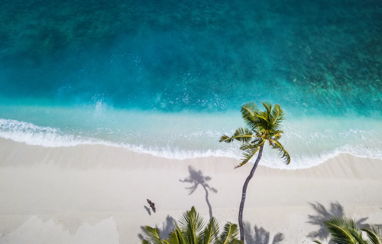 Photo wallpaper nature, water, Maldives