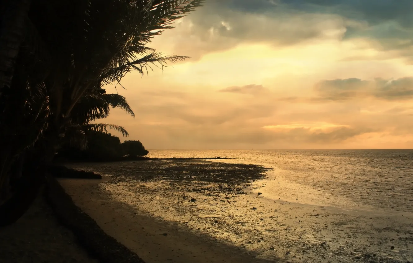 Photo wallpaper sand, palm trees, Sea