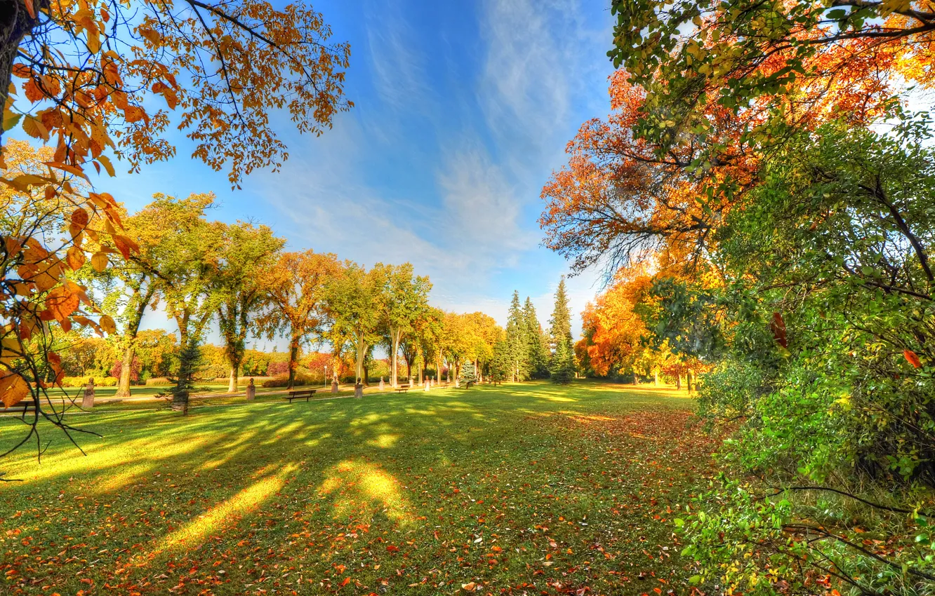 Photo wallpaper autumn, the sky, grass, trees, Park, shadow, bench