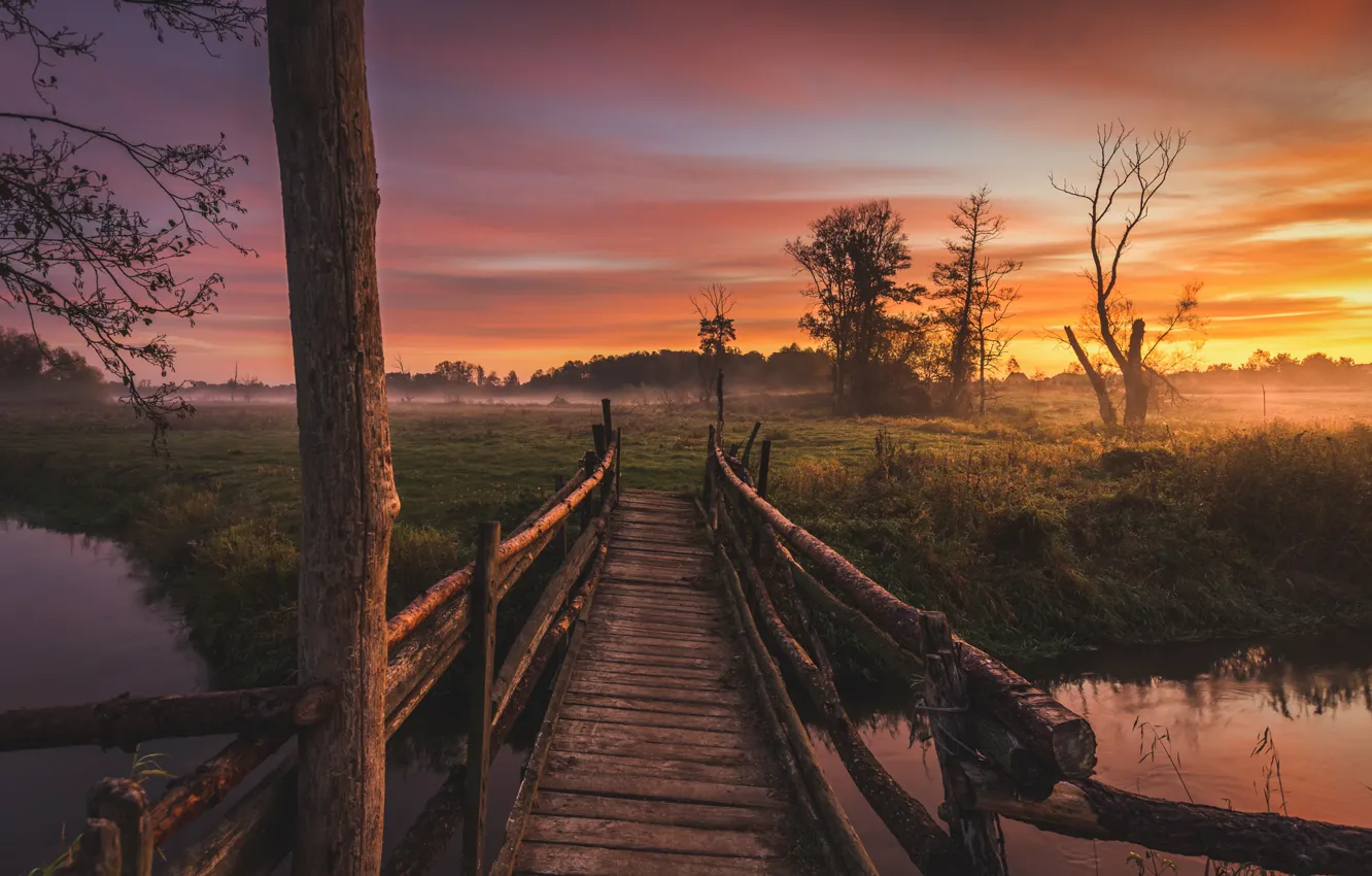 Photo wallpaper landscape, nature, fog, river, dawn, morning, Poland, the bridge